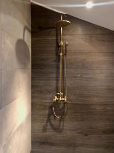 a brass shower in a bathroom with a wooden wall at Laurène 1 - Montpellier centre - Gare St Roch - HH in Montpellier