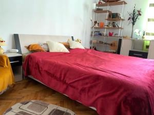 1 dormitorio con 1 cama con manta roja en Old Town Petcu`s House en Brasov