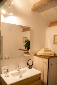 a bathroom with a sink and a mirror at Ostalon de Sénégats in Lacaze +48 photos