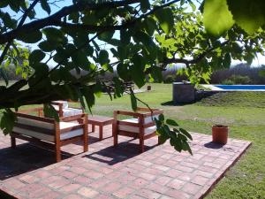 tres bancos sentados en un patio de ladrillo bajo un árbol en Finca La Vertiente en El Encón