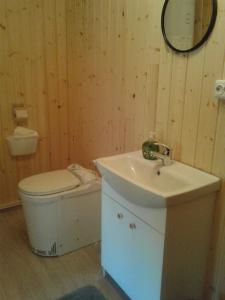 ein Badezimmer mit einem Waschbecken, einem WC und einem Spiegel in der Unterkunft Ferienhäuschen MD Sportfiske in Sveg