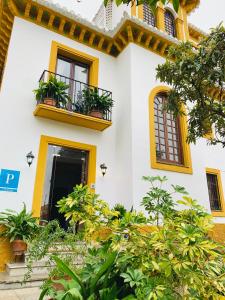 a white house with yellow windows and plants at Hotelito Suecia in Granada