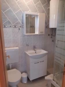 a bathroom with a toilet and a sink and a mirror at Apartments Villa Marija in Gornji Karin