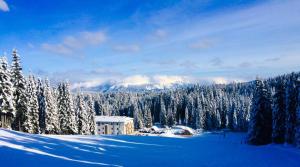 Příroda nedaleko apartmánu + 12 fotografií