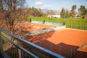 Tenis a/nebo squash v ubytování Hotel Hokejka nebo okolí
