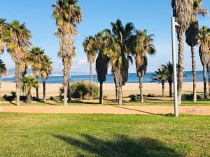 un parc avec des palmiers et une plage dans l'établissement Yacht Experience Barcelona, à Barcelone