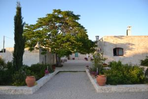 un callejón con plantas y árboles y un edificio en B&B Corte Del Camedrio, en Cisternino