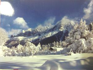 una montaña cubierta de nieve con árboles y una casa en Chalet Le Marmouzet, en Les Houches