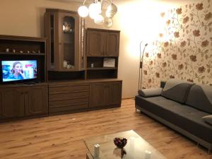 ein Wohnzimmer mit einem Sofa und einem TV in der Unterkunft Apartament 9-te piętro in Łódź