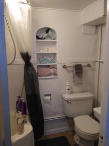 a small bathroom with a toilet and a shower at Cozy and Comfortable Powell Apartment in Powell