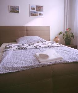 Posteľ alebo postele v izbe v ubytovaní Apartment Anna Vysehrad