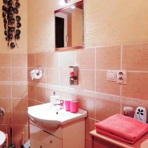 een badkamer met een wastafel en een spiegel bij Apartmán Erika - Bešeňová in Bešeňová