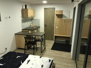 Kuchyň nebo kuchyňský kout v ubytování Orion apartments