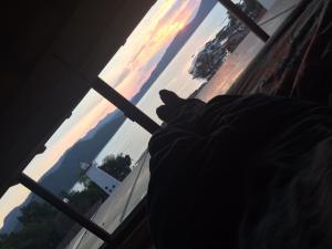 a cat laying in front of a window with a sunset at Lighthouse Townhouse in Valle de Bravo