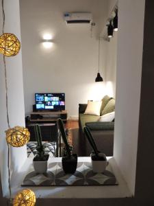 sala de estar con macetas y sofá en Stylish duplex in Caseros Boulevard - San Telmo en Buenos Aires