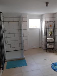 baño con ducha y puerta de cristal en Souterrain Apartment Laatzen, en Hannover