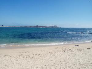una spiaggia sabbiosa con l'oceano sullo sfondo di Cabaña tablaqui a El Quisco