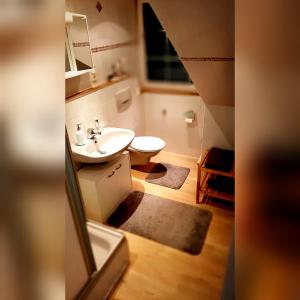 a bathroom with a sink and a toilet at Lichtenau - Bertholdes Traum in Lichtenau