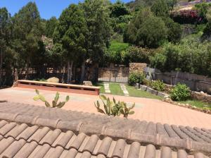 un jardin avec un banc et un cactus dans l'établissement Villa Bea, à Chia