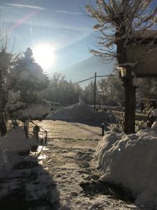 a snow covered road with the sun in the background at Burgfrieden in Vipiteno