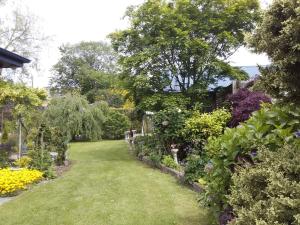 un jardín con muchas flores y plantas en Down South Cottage, en Invercargill 3 fotos más