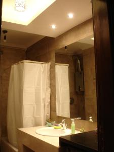 Koupelna v ubytování Luxury Furnished Apartment