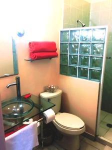 a bathroom with a toilet and a sink and a shower at Casa las Flores in Puerto Vallarta