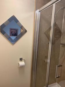 a bathroom with a shower and a roll of toilet paper at Lakeview Guest House in Stranraer