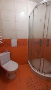 イヴァーノ・フランキーウシクにあるApartment Na Saharovaのバスルーム(トイレ、シャワー付)