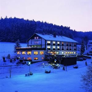 ein großes Gebäude im Schnee in der Nacht in der Unterkunft Hotel Gassbachtal in Grasellenbach