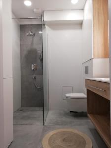 een badkamer met een douche en een toilet bij Przytulny Apartament Olimpijska 1D/2b in Szczyrk