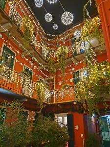 アレッサンドリアにあるB&B Arcobaleno Affittacamere Rainbowのクリスマスのライトと植物で飾られた建物