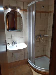 a bathroom with a shower and a sink at To Spiti tis Irinis in Vitina