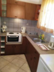 a small kitchen with a sink and a microwave at TO PATRIKO - APARTMENTS FOR RENT in Igoumenitsa