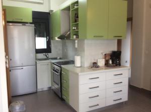 Kuchyň nebo kuchyňský kout v ubytování green guesthouse