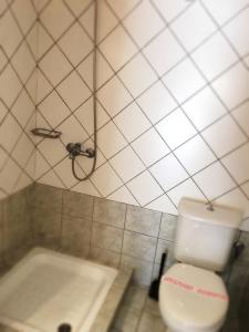 a bathroom with a toilet and a bath tub at TO PATRIKO - APARTMENTS FOR RENT in Igoumenitsa