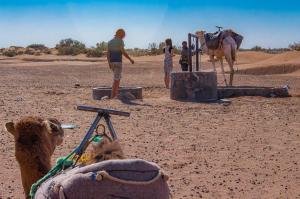 un hombre parado junto a un camello en el desierto en Erg Chigaga Camp Shooting Stars, en Mhamid