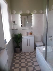 a bathroom with a sink and a toilet and a shower at Chine Side in Shanklin