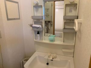 Gallery image of Sejour Toyohirakoen in Sapporo