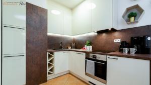 Kuchyňa alebo kuchynka v ubytovaní Wonder Home - Apartamenty z balkonami blisko centrum Karpacza