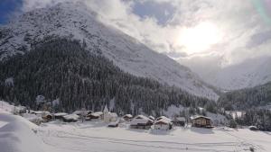 Bergbauernhof Pabulariu v zime