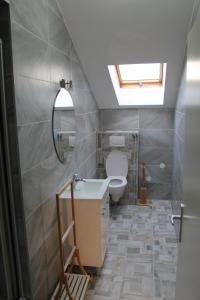 La salle de bains est pourvue de toilettes, d'un lavabo et d'une lucarne. dans l'établissement Urban-Style-Rooftop-Apartment, à Vienne