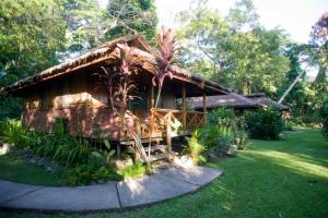 une maison avec un toit de chaume dans un jardin dans l'établissement Walindi Plantation Resort, à Kimbe