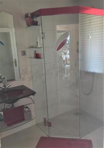 y baño con ducha de cristal y lavabo. en Holiday Home Magnolia en Trakošćan