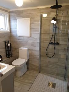 a bathroom with a shower with a toilet and a sink at Poeme A SANDEFJORD in Kodal