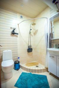 a bathroom with a shower with a toilet and a blue rug at Beautiful Tbilisi on Meskhishvili Turn in Tbilisi City
