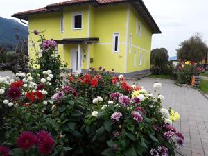 Zahrada ubytování Apartments Steger + 14 fotografií
