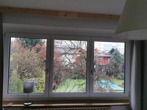 Vrt pred nastanitvijo Haus Pierzinger