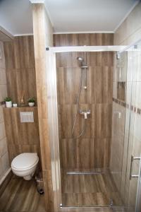 een badkamer met een douche en een toilet bij Valery House in Şura Mică