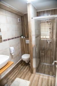 een badkamer met een douche, een toilet en een wastafel bij Valery House in Şura Mică
